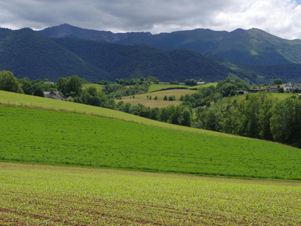 Gîte Asson, 7 pièces, 12 personnes - FR-1-384-739 Esterno foto